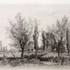 Gironde, in de velden van Cirron