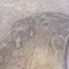 renaissance achtige tekening (gedeelte)