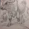 Osse-studie