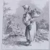 "Le Marchande de Champignion"