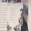 "Les Vieux Chats"
