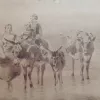 Vee hoeders familie en hun kudde