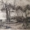 "Koeien aan een beek"