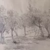 Landschap bij Oosterbeek