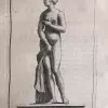 "Venus de Medici"